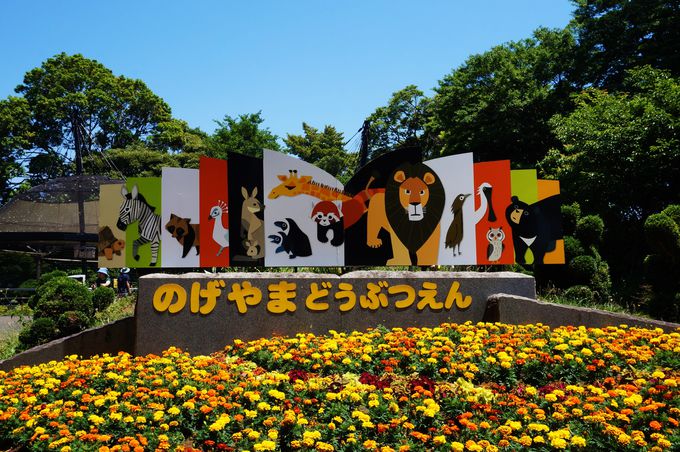 希少な絶滅危惧種も！横浜の無料動物園「野毛山動物園」