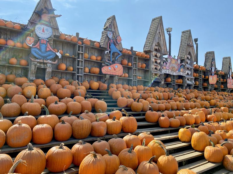 NY「The Great Pumpkin Farm」のパンプキン・パッチで秋を満喫！