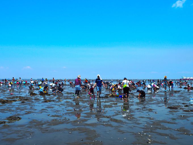 人気沸騰中！潮干狩りとランチで楽しむ千葉・富津海岸の１日