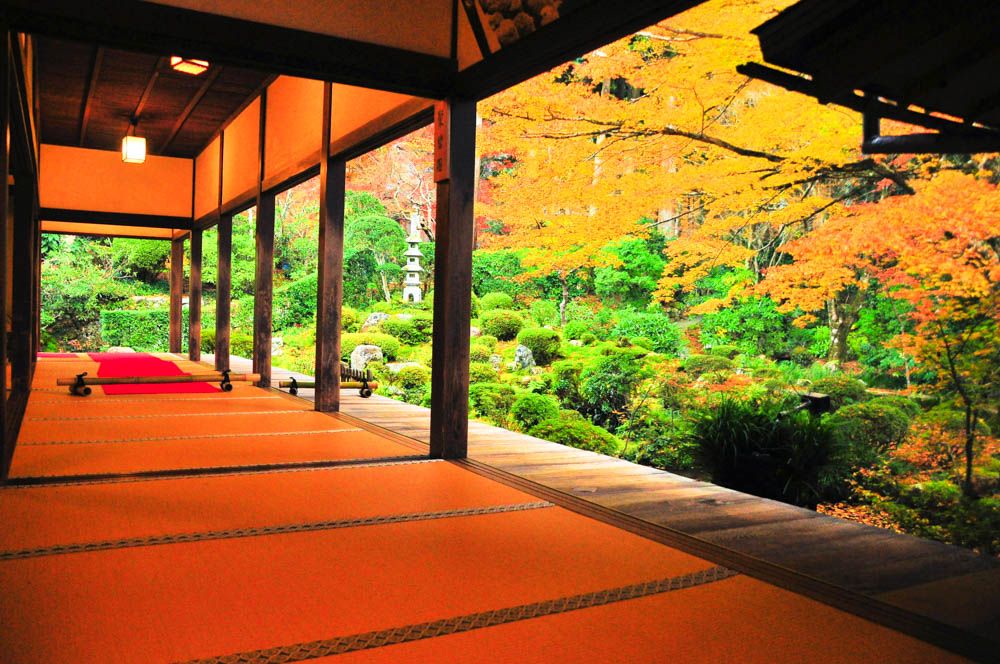 京都の紅葉は誰もいない寺社で！「京都ブライトンホテル」特別プラン2018