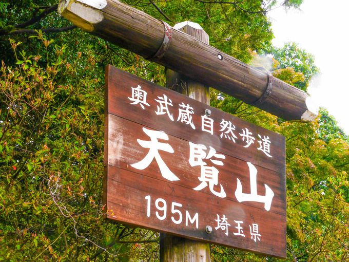 子供にも優しい！埼玉県にある超低山登山「天覧山」