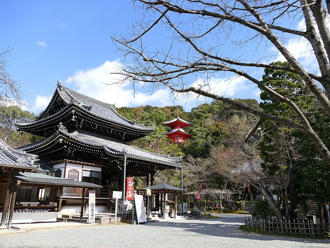 幽寂な境内の今熊野観音寺！京都のお寺で静かに過ごす贅沢