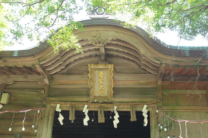 京都「愛宕神社」へ参拝！火の神様・愛宕山に登ろう