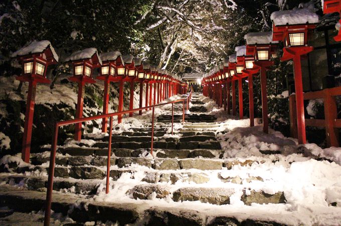 雪よ降れ！京都・貴船神社「積雪日限定ライトアップ」で幻想空間へ！
