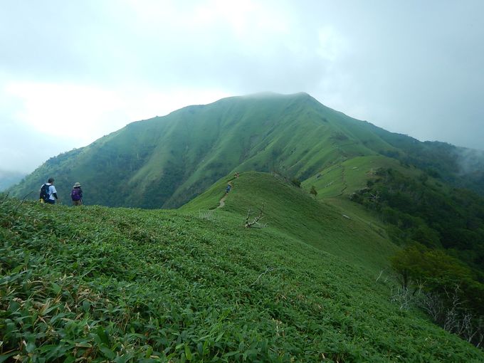 ミステリアスな徳島「剣山」の緑したたる稜線歩きはいかが？