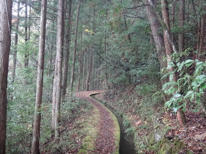 水と共に歩む高知県梼原町の久保谷セラピーロードで癒され散歩