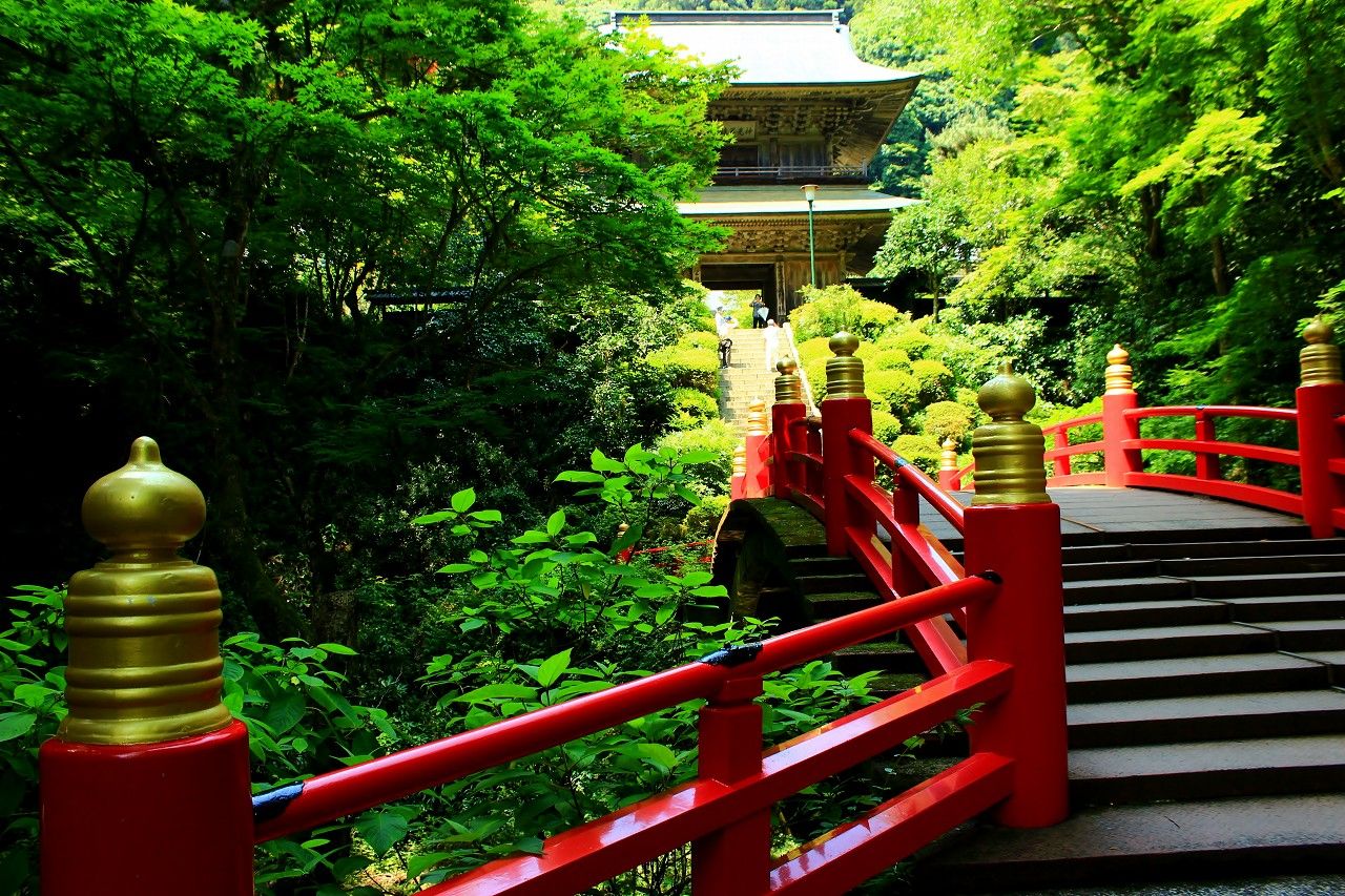 萌える青モミジ&竹林の世界！那須高原の絶景スポットはここ！