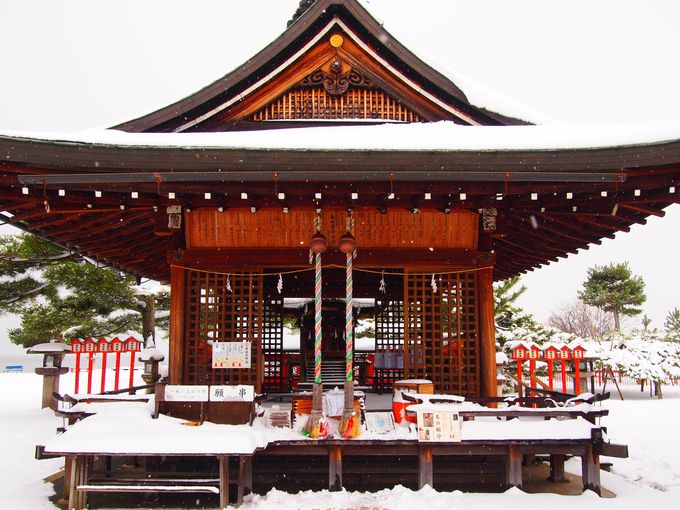 『曇天に笑う』モデル地！近江の景勝地「唐崎神社」は雪景色がいい