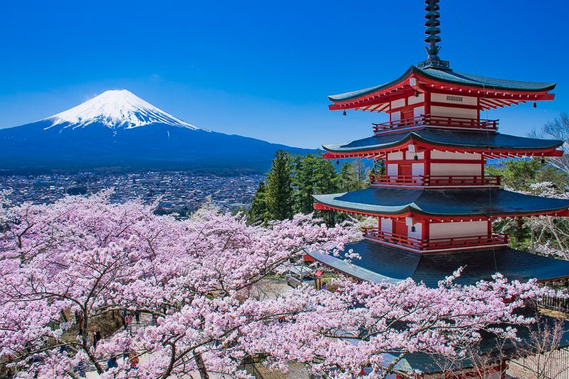 これぞ日本！新倉山浅間公園で見る桜・忠霊塔・富士山の大絶景！