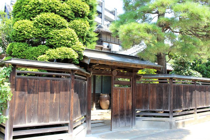 川越に200坪の日本庭園！新名所「丹徳庭園」で抹茶体験やランチも！