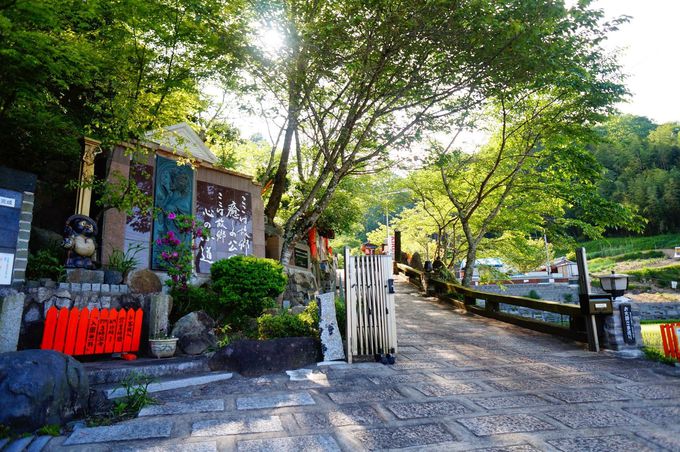 15年かけて一人で作り上げた公園！岡山「癒やしの散歩道 裕園」