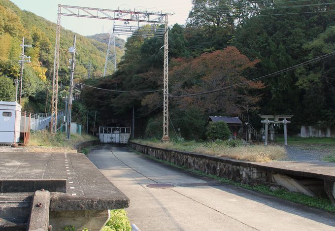 夜ごと霊を乗せた 最終列車 が 奈良と大阪を結ぶ 旧生駒トンネル サクラちゃんのミステリーツアー