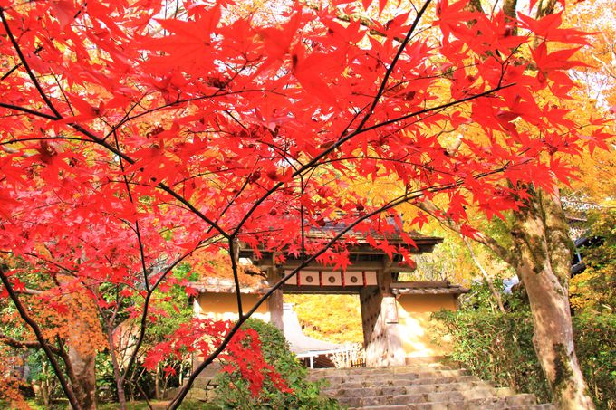 大原 三千院から寂光院へ 京都観光 紅葉の散策穴場コース Navitime Travel
