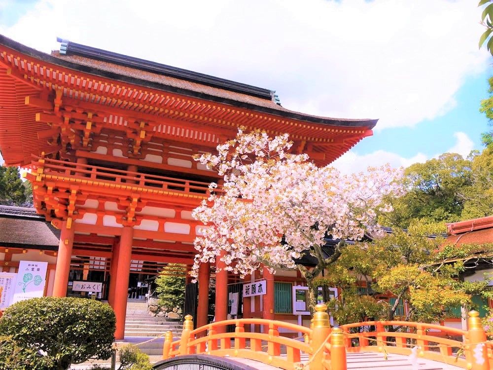違いを知れば楽しい！京都最古の上賀茂神社×下鴨神社で最強パワー