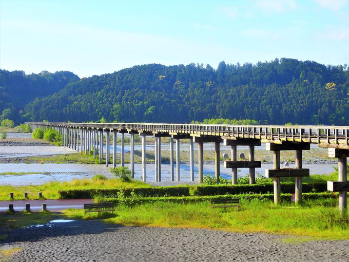 「蓬莱橋」を渡って行こう！静岡・牧之原台地の日本一の大茶園へ
