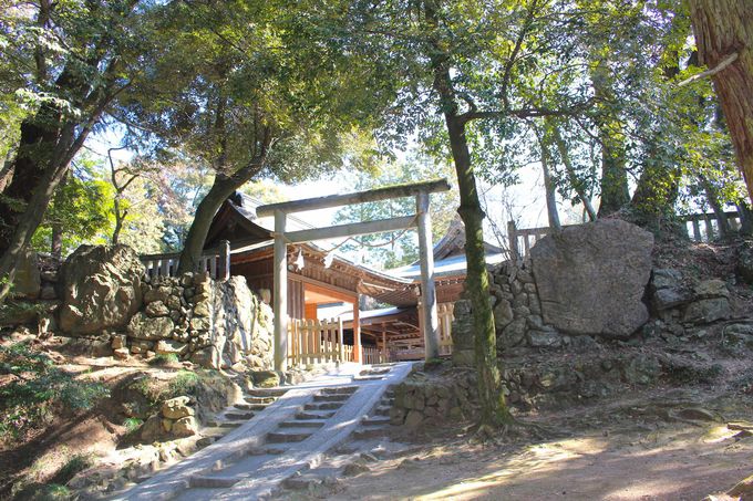 猫好きと城マニアが集まる 栃木県「唐沢山神社」って？』｜レンタカー 