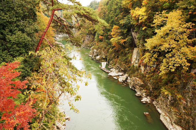 絶景散策！長野県天竜峡で美しき渓谷と紅葉散策を楽しむ