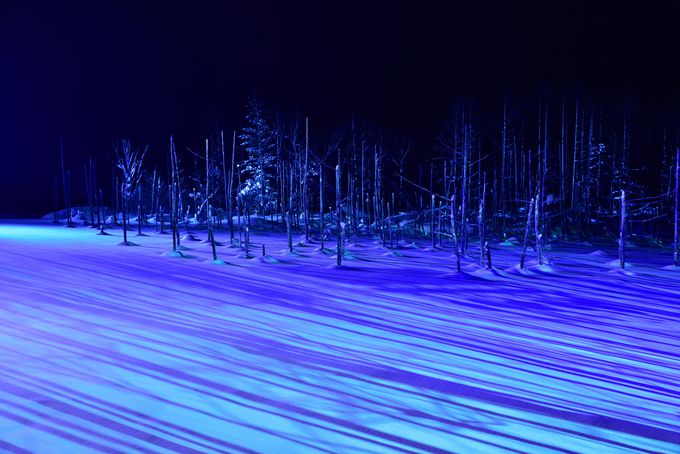 冬の美瑛・幻想的な青い池のライトアップを見るならホテル・ラブニールに泊まろう