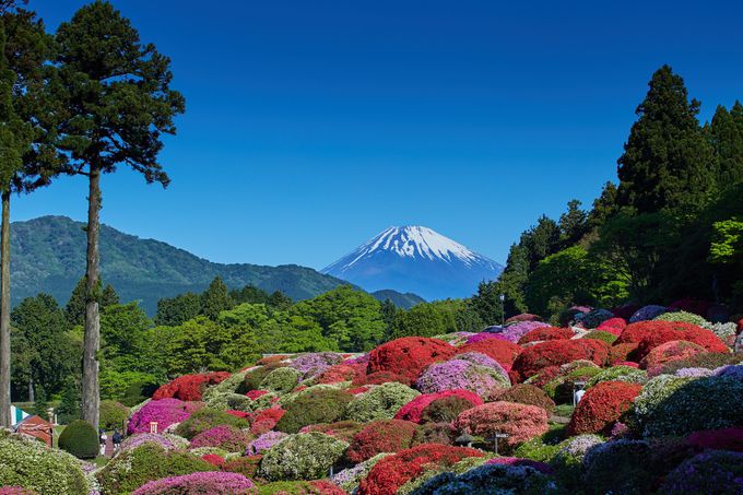箱根屈指のロケーションと伝統が息づく「小田急 山のホテル」