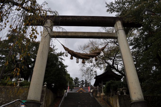 日本一の鳥居は必見！山形・南陽市の赤湯温泉周辺散歩