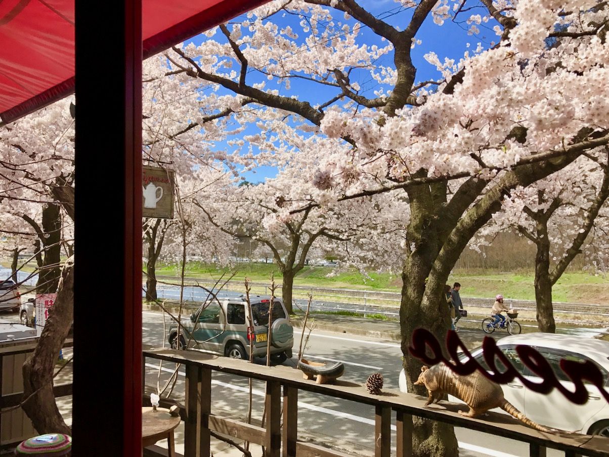 桜咲く山形のカフェ「Espresso」で四季を愛でる