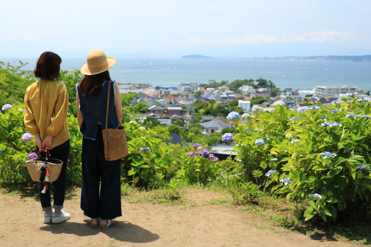 カメラ女子にもお勧め！江の島も見える葉山「あじさい公園」