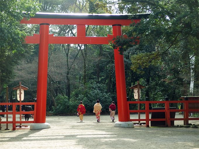 結局どこがどう凄い？京都・下鴨神社の本当の見所＆パワスポはここだ