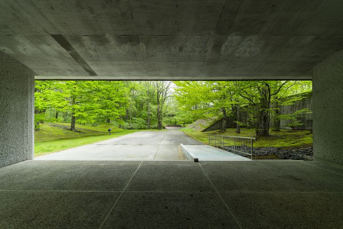 緑の中の美術館・軽井沢「セゾン現代美術館」のここが凄い！