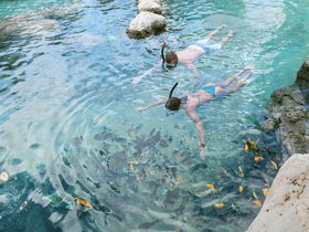 6D42719357DE4946B742C0AC2C0D9FFB_thumbnail 熱帯魚と一緒に泳げるプール！PICグアム「泳げる水族館」｜グアム｜トラベルjp＜たびねす＞