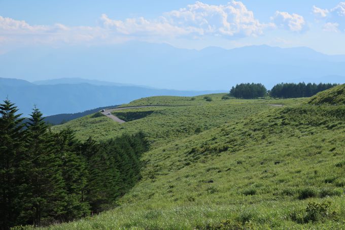 標高1400メートルの高原を走る長野「ビーナスライン」で天空ドライブ