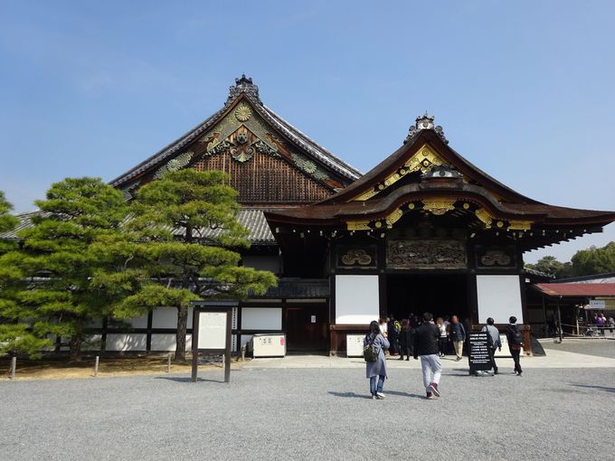 京都が誇る世界遺産！「元離宮二条城」は見どころたっぷりの観光名所