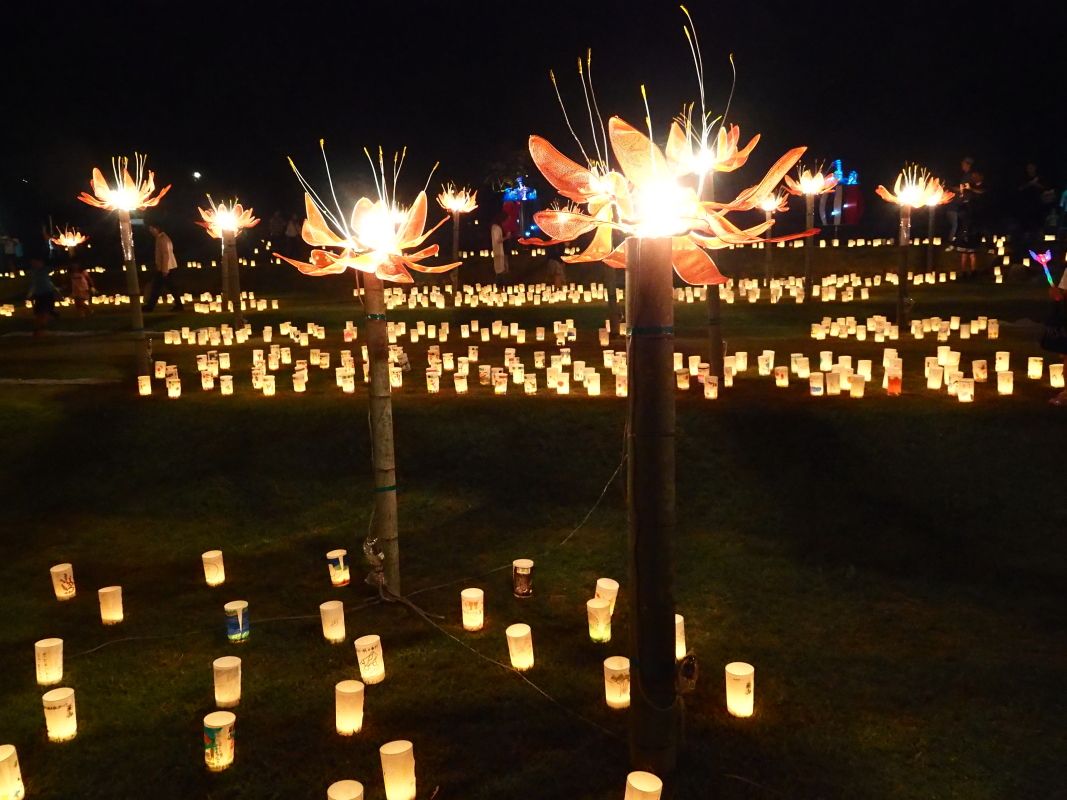 奈良・明日香村の秋の風物詩「飛鳥光の回廊」で幻想空間を満喫！