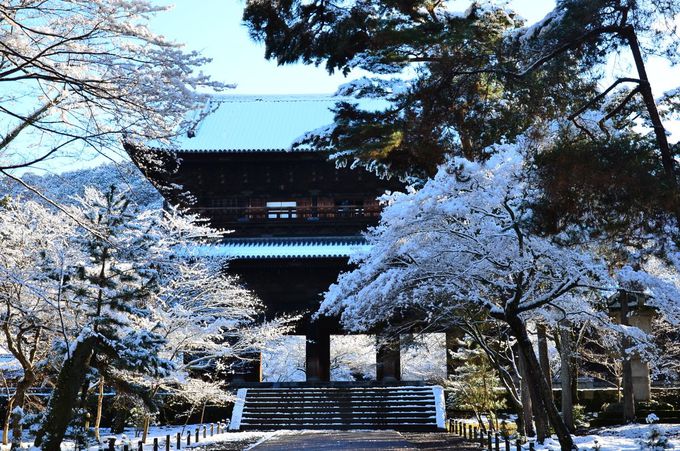 冬の京旅「哲学の道」散策～南禅寺から永観堂、銀閣寺へ～